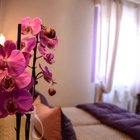 Il Piccolo 4* Piacenza