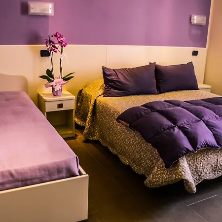 Guest house Il Piccolo 4*