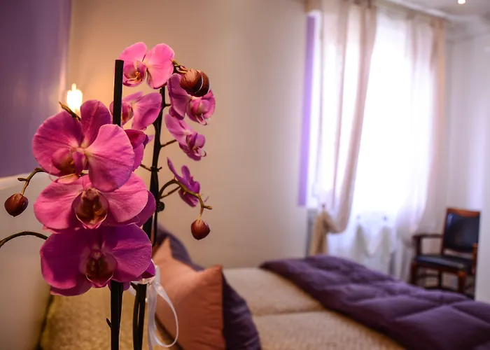 Il Piccolo 4* 피아첸차